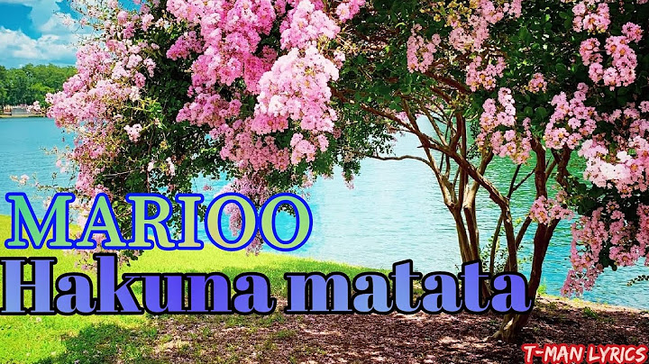 Marioo - Hakuna matata (Official music lyrics)