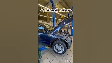 Откуда такое имя “MACAN”? Почему кроссовер Porsche так называется.