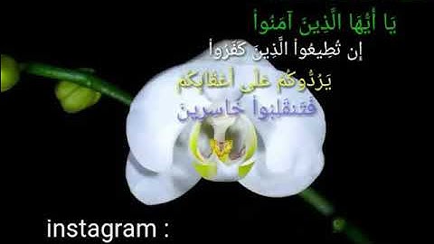 يا أيها الذين آمنوا إن تطيعوا الذين كفروا#تلاوة للقاريء الشيخ#إدريس_أبكر من#سورة_آل_عمران
