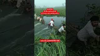 ਸੁੱਖ ਦਾ ਸੁਨੇਹਾ #viral #viralvideo #reels #reel #shorts #shortsfeed #short #shortsvideo #video #fyp
