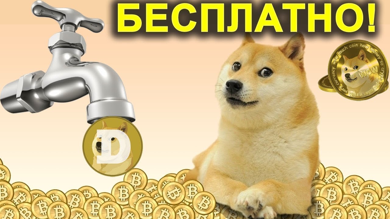 Кошелек dogecoin Кошелек dogecoin курс обмена валют в смоленске