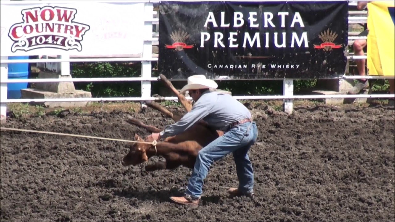 Morris Stampede 2018