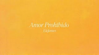 Video thumbnail of "Elefantes -  Amor prohibido (Lyric Video Oficial)"