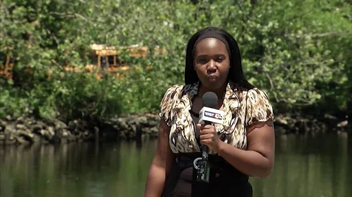 Carmen Frazier's Reporter Reel
