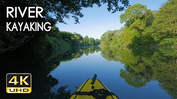 4K River Kayaking - Birds Singing - Water Sounds - Paddling a Canoe Relaxing Nature Video - NO LOOP