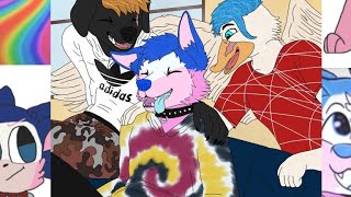 What Really Happens When You Leave Pets Alone?