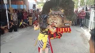 Atraksi super keren reog Ponorogo bersama jatil cantik