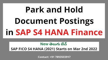 Park and Hold Document Postings in SAP S 4HANA Finance | SAP FICO in Telugu | by Veera BS