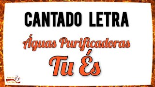 Tu És | cantado letra | Águas purificadoras