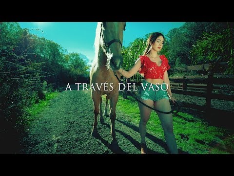 Johnny Luis - A Través Del Vaso (Video Oficial) HD