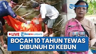 🔴LIVE: Bocah 10 Tahun Ditemukan Tewas Mengenaskan Dibunuh di Kebun Aceh Tenggara usai 10 Hari Hilang