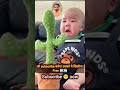 Sharecute Mexica Plush Dancing Cactus Electric Plush Toy рџЊµ Trendingshorts Sharecute Mexica Plush Dancing Cactus Electric Plush Toy рџЊµ Trendingshorts