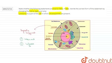 State whether the following statements are true or false. If false, rewrite the correct form of...