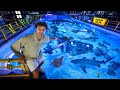 Private Tour of India’s MOST SECRET AQUARIUM!!