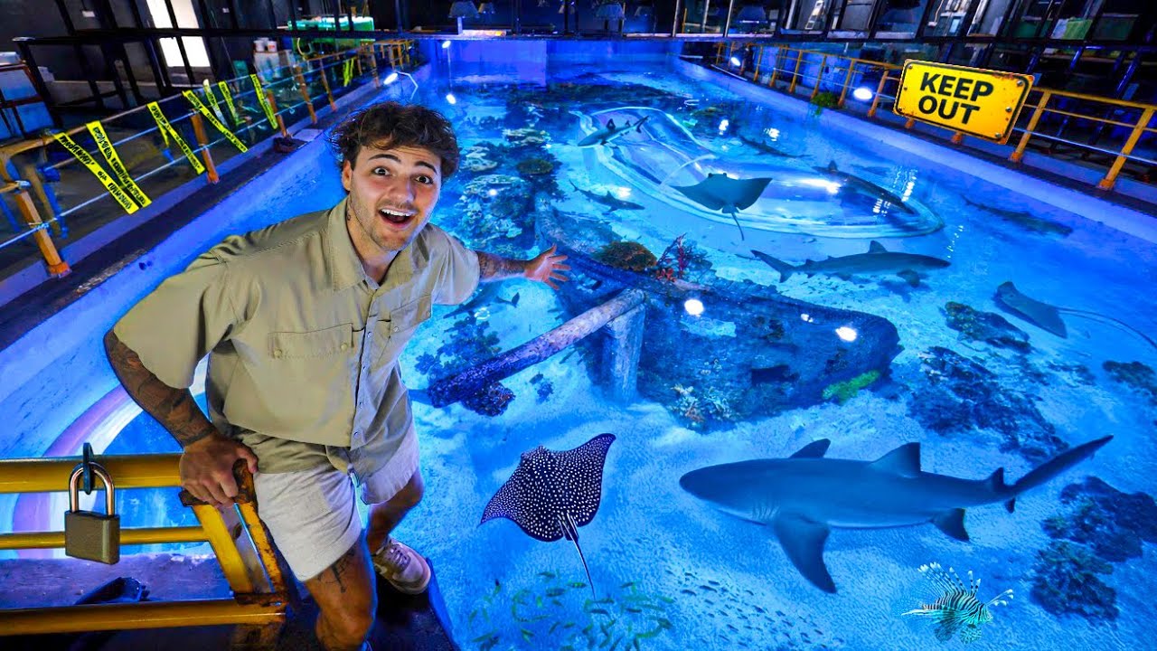 Private Tour of India’s MOST SECRET AQUARIUM!!