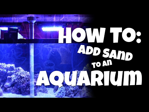 How to Add Sand to an Aquarium