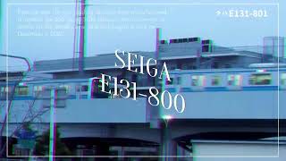 【合作単品】SEIGA E131-800