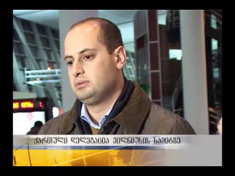 ქართული დელეგაცია ვილნიუსის სამიტზე