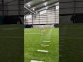 Tail Tapping The Hacker MadBull