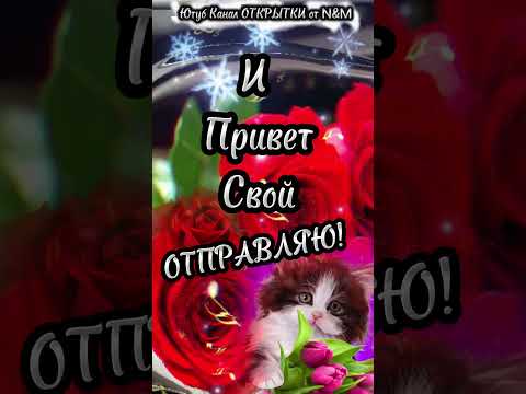 🌹Доброго Дня Отличного