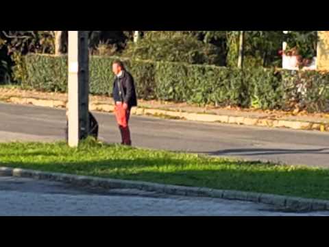 Videó: Kutya Sétáltatása: Előnyök és Hátrányok