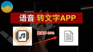 【超实用】语音转文字、我的 2 个常用软件 🎉 使用 OpenAI Whisper API 一键上字幕、准确率高达 99%！语音识别字幕从未如此简单：Buzz、剪映｜数字牧民LC