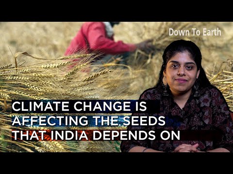 Food security: Climate change is affecting the seeds that India depends on