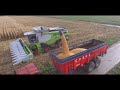 NEW Claas Lexion TT au battage de mais | 12 rangs