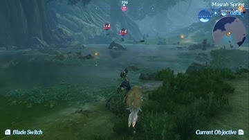 Supercharged Alfonso Xenoblade Chronicles 2 (Party level 1, New Game Plus)