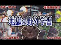 【実話】野外学習が地獄と化した話【猫ミーム】