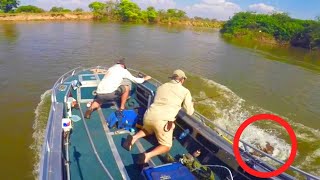 4 Hippo Encounters You Should Not Watch (Part 2)