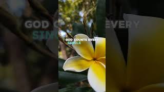 Doing Things That You Want To Do And Things You Should Do.