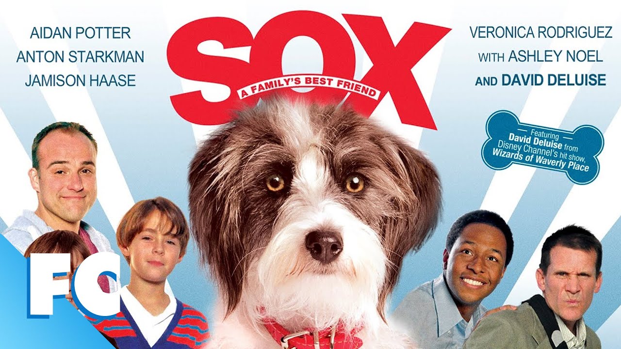 Sox - A Family's Best Friend | Full Family Animal Comedy Dog Movie | Family  Central - YouTube