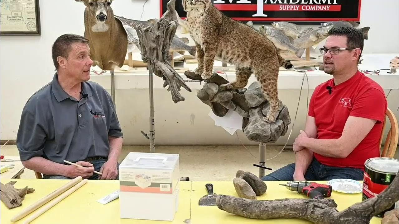 Learn Taxidermy Habitat Alterations YouTube