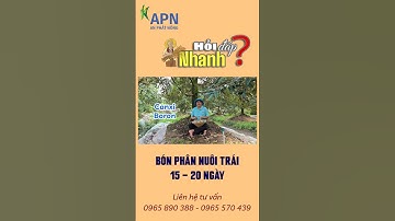 APN - Bón phân nuôi trái giai đoạn 15 - 20 ngày #saurieng