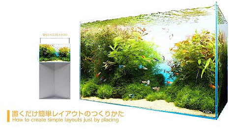 Aquadesignamano Youtube