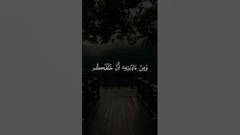 ومن آياته ان خلقكم من تراب _كروما خلفية سوداء _ محمد صديق المنشاوي _قران شاشة سوداء #قرآن