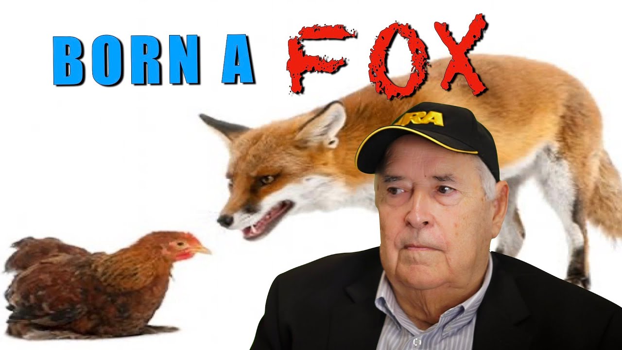Born a Fox
