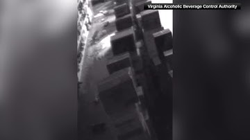 Drunk raccoon ransacks Virginia liquor store