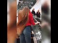 وأنا مالي يا لمبي وأنا مالي يا لمبي