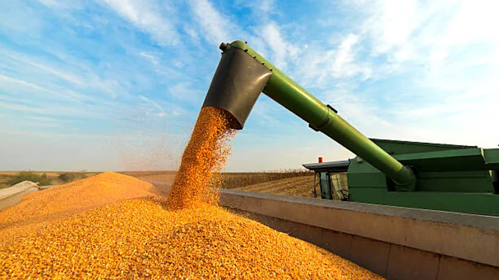 This Is How American Farmers Cultivate and Harvest Soybeans