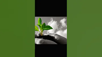 النجاح ليس صدفة بل هو ثمرة عمل متواصل وصبر جميل ازرع اليوم جهدك لتحصد غد ا فالعظماء لم ولدوا علماء 