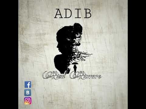 Adib