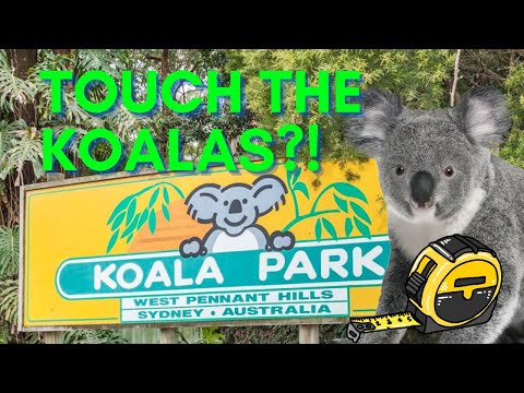 Koala Park Sydney Tour: Up-Close with Wildlife in West Pennant Hills | Eco-Friendly Travel Guide