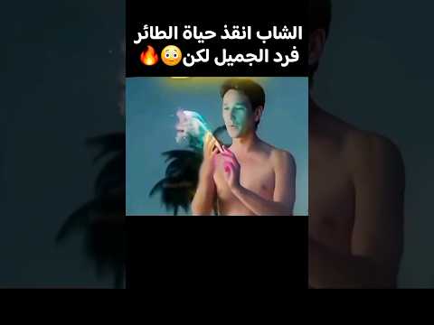 الشاب انقذ حياة الطائر فرد الجميل  قصص