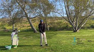 How to Easily Understand and Improve Shaft Lean in Your Golf Swing! by Dan Martin Golf 2,951 views 2 months ago 5 minutes, 35 seconds
