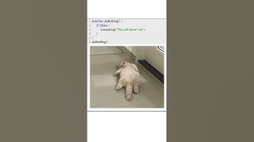 Useless Program Part 2