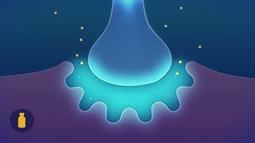 Neuromuscular Blocking Agents