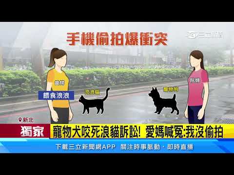 質疑被拍火大扯包、搶手機 女遭判拘40天｜三立新聞網 SETN.com