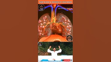 Pump Blood & Oxygen to Your Brain #increase #blood #oxygen #brain